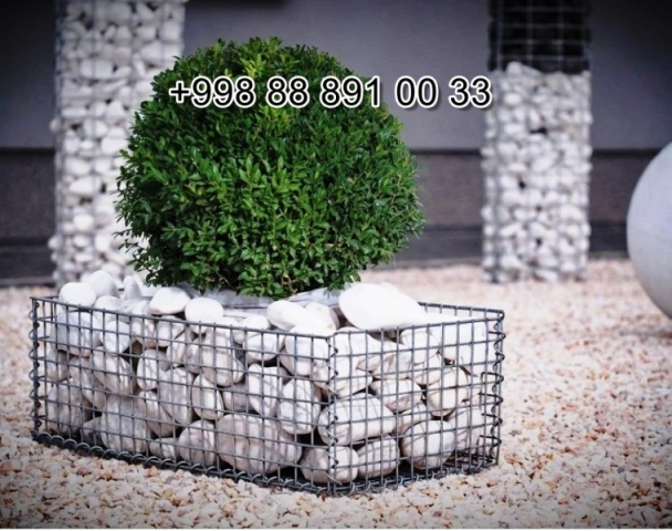  sang.uz in Syrdarya Cost Video Review Photo, sang.uz in Fergana Photo Cost Video Review, sang.uz Сурхандарье Фото Цена Обзор Видео, Xorazm sang.uz Narxi Video Foto Rasm, sang.uz Самарканде Цена Фото Обзор, Sirdaryo sang.uz Narxi Rasm Video Abzor Foto, sang.uz в Кашкадарье Цена Фото Обзор, sang.uz in Samarkand Price Photo Video Cost, sang.uz в Андижане Цена Фото Обзор, sang.uz Хорезме Фото Цена Обзор, Navoiy sang.uz Video Foto Narxi Rasm, sang.uz в Сырдарье Цена Фото Обзор, Nukus sang.uz Narxi, sang.uz in Karakalpakstan Nukus Cost Video Review Photo, sang.uz в Ташкенте Узбекистане Цена Фото Обзор, Qashqadaryo sang.uz Narxi Rasm Video Foto, Andijon sang.uz Narxi Rasm Foto Video, Qoraqalpog‘iston Nukus sang.uz Narxi Rasm Video Foto Narxi, Buxoro sang.uz Video Narxi Rasm Foto, sang.uz in Andijan Cost Video Review Photo, O'zbekiston sang.uz, sang.uz Джизаке, sang.uz в Ташкенте Узбекистане Цена Фото Обзор, sang.uz в Бухаре Цена Фото Обзор, Samarqand sang.uz Foto Narxi Rasm Video Abzor, sang.uz in Uzbekistan Price Photo Video Cost ReView, sang.uz Намангане Цена Фото Обзор, sang.uz in Kashkadarya Cost Video Review Photo, Farg'ona sang.uz Narxi Video Foto Rasm, rasm, sang.uz Нукусе Цена Фото Обзор, sang.uz Фергане Фото Цена Обзор, sang.uz in Jizzakh Cost Video Review Photo, sang.uz in Bukhara Cost Video Review Photo, sang.uz in Surkhandarya Cost Video Review Photo, sang.uz Навои Цена Фото Обзор, sang.uz in Nukus Photo Video Cost ReView Price, sang.uz in Navoi Cost Photo Video Review, sang.uz in Namangan Price Photo Video Cost, sang.uz в Каракалпакистане Нукусе Цена Фото Обзор, Namangan sang.uz Video Foto Narxi Rasm, sang.uz in Khorezm Cost Video Review Photo, sang.uz Самарканде Цена Фото Обзор, Jizzax sang.uz Video Narxi Rasm Foto, Surxondaryo sang.uz Narxi Rasm Video Foto 