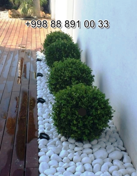  Navoiy sang.uz Video Foto Narxi Rasm, sang.uz в Андижане Цена Фото Обзор, Andijon sang.uz Narxi Rasm Foto Video, Surxondaryo sang.uz Narxi Rasm Video Foto, sang.uz Намангане Цена Фото Обзор, Jizzax sang.uz Video Narxi Rasm Foto, sang.uz в Кашкадарье Цена Фото Обзор, sang.uz in Fergana Photo Cost Video Review, sang.uz Хорезме Фото Цена Обзор, sang.uz in Uzbekistan Price Photo Video Cost ReView, Farg'ona sang.uz Narxi Video Foto Rasm, rasm, sang.uz Сурхандарье Фото Цена Обзор Видео, sang.uz в Каракалпакистане Нукусе Цена Фото Обзор, Qoraqalpog‘iston Nukus sang.uz Narxi Rasm Video Foto Narxi, sang.uz Самарканде Цена Фото Обзор, sang.uz Навои Цена Фото Обзор, sang.uz in Surkhandarya Cost Video Review Photo, Nukus sang.uz Narxi, O'zbekiston sang.uz, sang.uz in Karakalpakstan Nukus Cost Video Review Photo, sang.uz in Syrdarya Cost Video Review Photo, sang.uz в Бухаре Цена Фото Обзор, sang.uz in Nukus Photo Video Cost ReView Price, sang.uz in Bukhara Cost Video Review Photo, sang.uz in Jizzakh Cost Video Review Photo, Qashqadaryo sang.uz Narxi Rasm Video Foto, sang.uz Самарканде Цена Фото Обзор, Buxoro sang.uz Video Narxi Rasm Foto, sang.uz Нукусе Цена Фото Обзор, Samarqand sang.uz Foto Narxi Rasm Video Abzor, sang.uz in Khorezm Cost Video Review Photo, Xorazm sang.uz Narxi Video Foto Rasm, sang.uz in Namangan Price Photo Video Cost, sang.uz Фергане Фото Цена Обзор, sang.uz в Ташкенте Узбекистане Цена Фото Обзор, sang.uz in Kashkadarya Cost Video Review Photo, Namangan sang.uz Video Foto Narxi Rasm, sang.uz в Ташкенте Узбекистане Цена Фото Обзор, sang.uz in Andijan Cost Video Review Photo, sang.uz в Сырдарье Цена Фото Обзор, sang.uz in Navoi Cost Photo Video Review, Sirdaryo sang.uz Narxi Rasm Video Abzor Foto, sang.uz Джизаке, sang.uz in Samarkand Price Photo Video Cost 